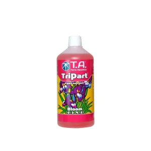 TA Tri Part Bloom