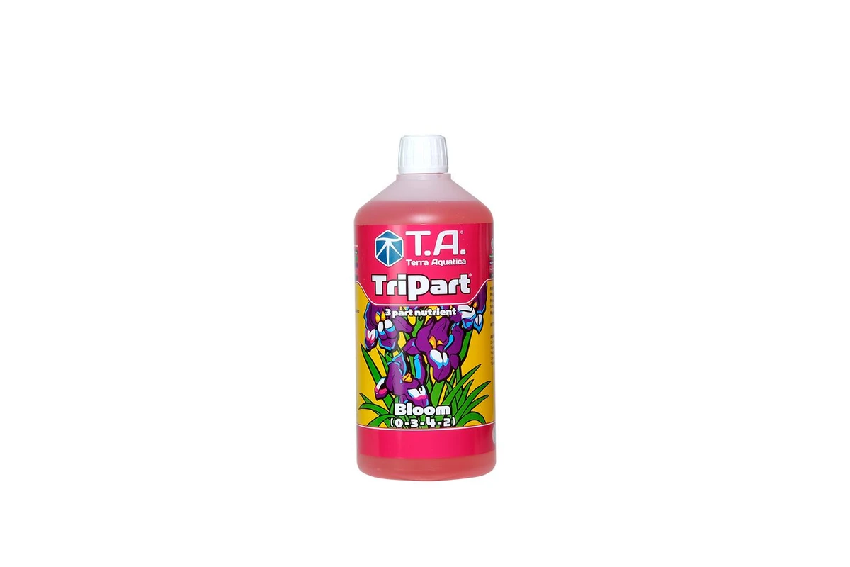 TA Tri Part Bloom