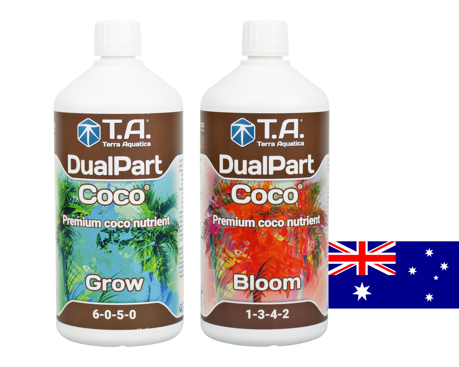 TA Coco Bloom