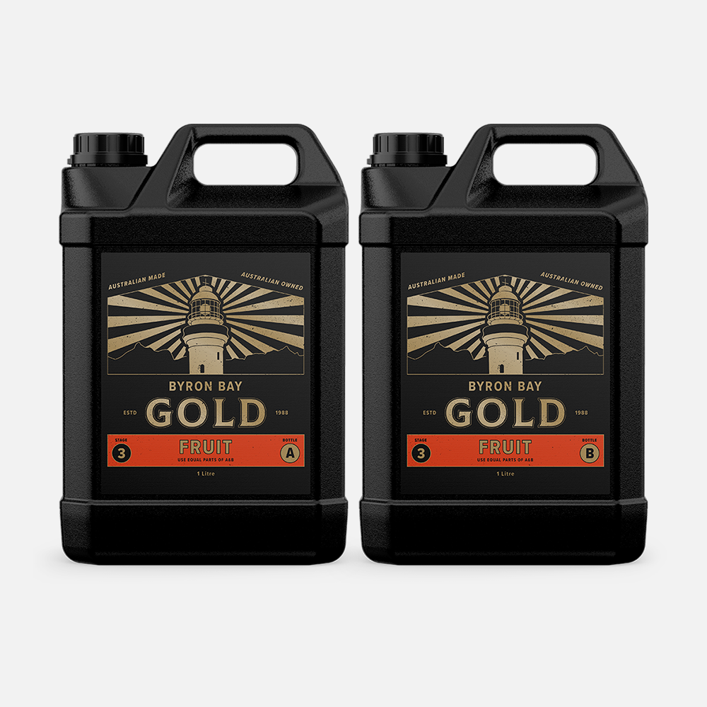 Byron Bay Gold - Fruit