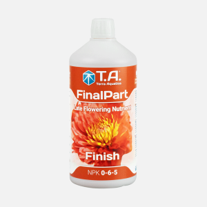 TA Final Part