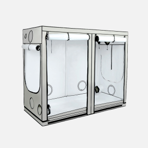 HOMEbox Ambient R240