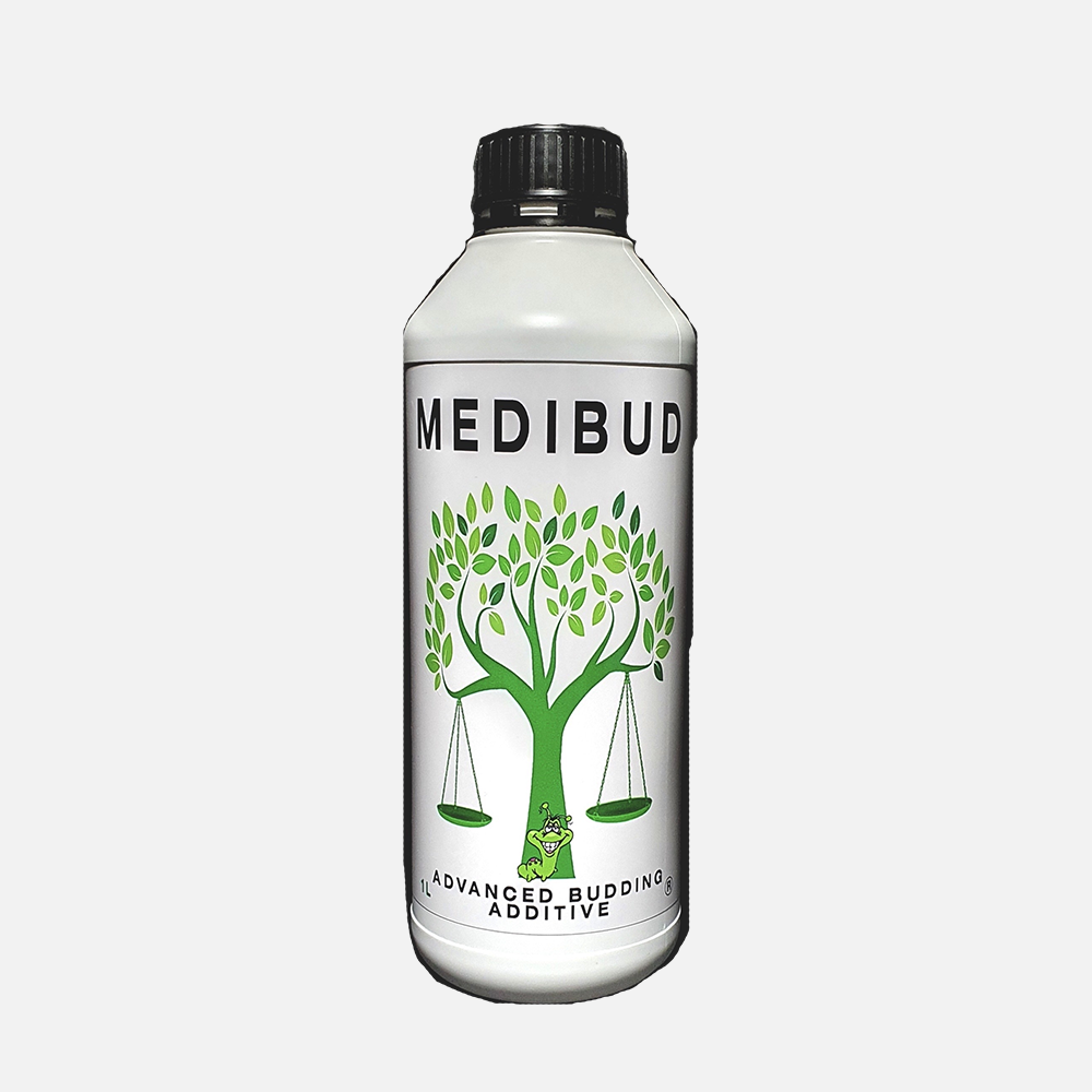 Medibud