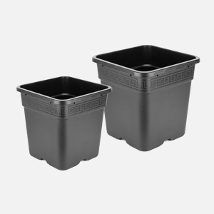 Origin/Wilma Pot's