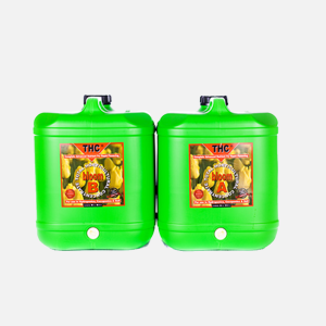 THC Bloom & Grow