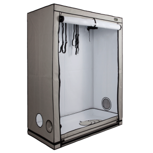HOMEbox Ambient R150